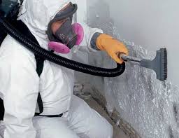 Forensic Mold Investigation in Kenner, LA